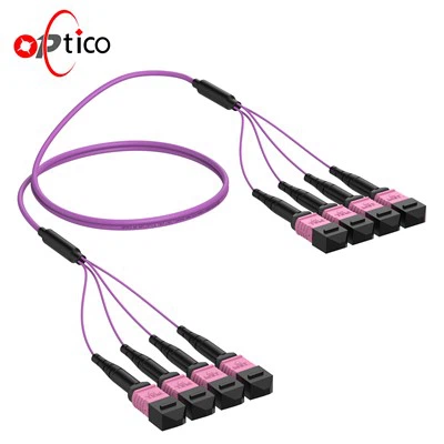32 MPO I MPO APC Patch Cord OM4 OM5